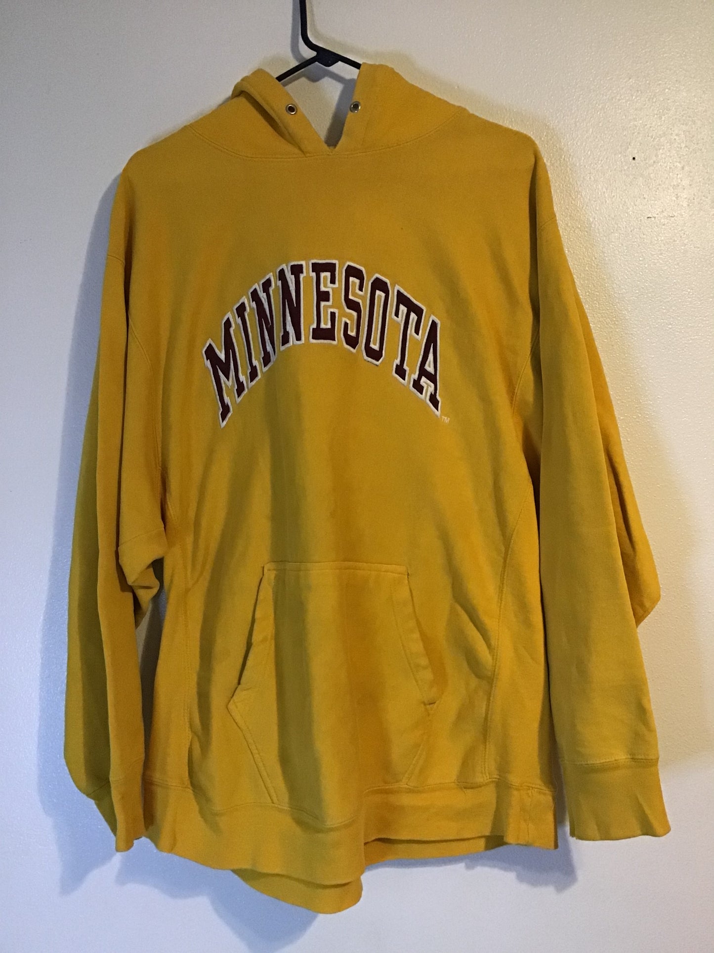 Minnesota College Hoodie