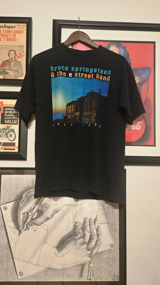 Bruce Springsteen 1998 tour Large